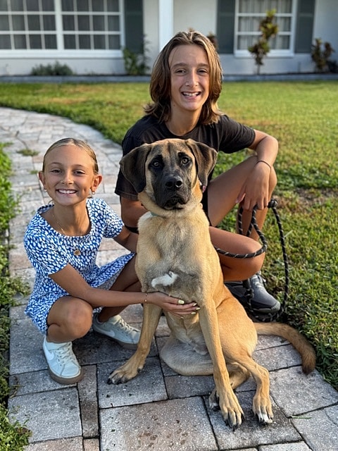 Children posing with a dog on a pathway.